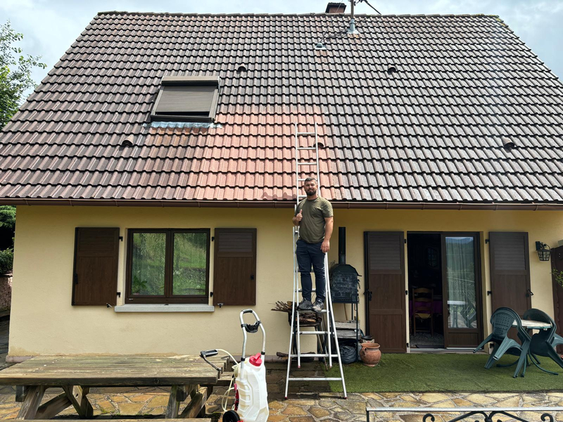 Photo de couverture de Les toitures de Louis